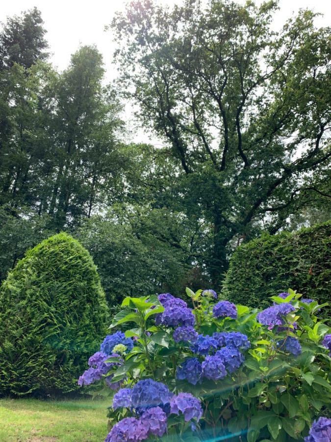 Zonnebos, private garden, fresh air, relax! Villa Otterlo Eksteriør bilde